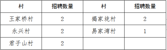 【洛陽招聘】高中可報！專業不限,！洛陽一鎮招聘村干部公告