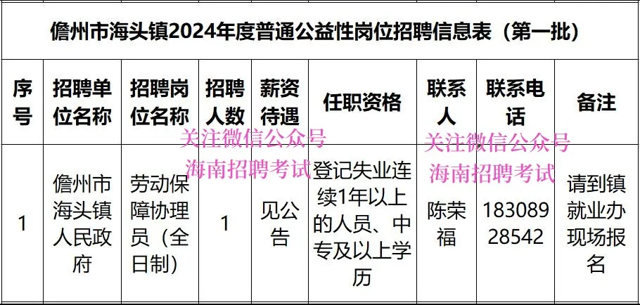 儋州市海頭鎮(zhèn)人民政府2024年招聘，中專(zhuān)可報(bào)